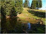 Za Ušivcem - Gradišče (Velika planina)